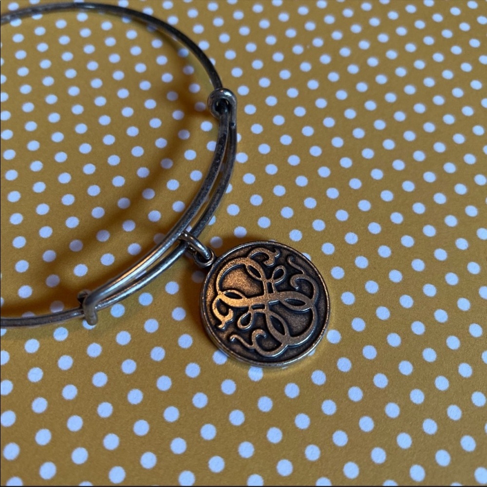 Alex and Ani Path of Life bangle in Raf. Silver - Picture 8 of 8